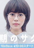 Watch Doki no Sakura online